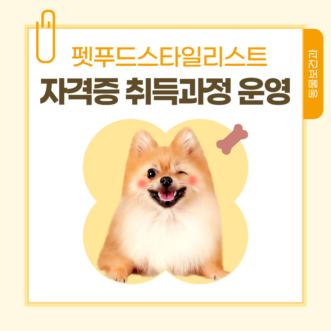 우송정보대 동물보건과 펫푸드스타일리스트 자격증 취득과정