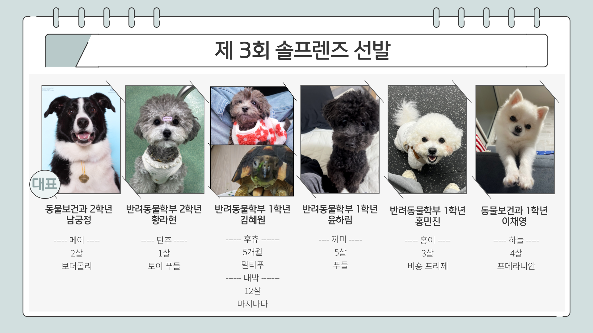 2025학년도 제 3회 솔프렌즈 선발 결과