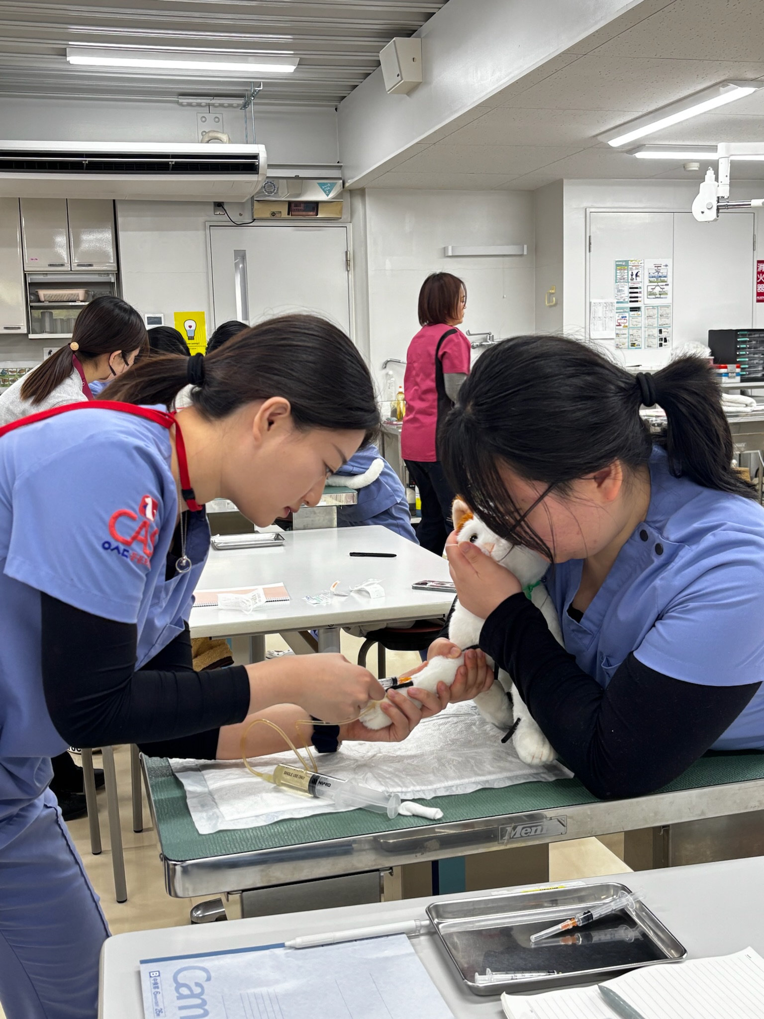 2026학년도 일본연수 1주차 수업 기록