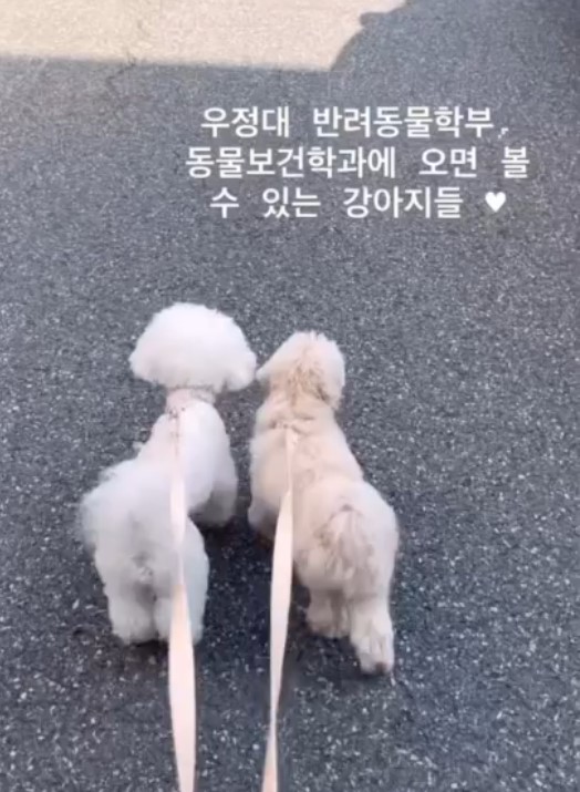 우송정보대 동물보건과 학과소개