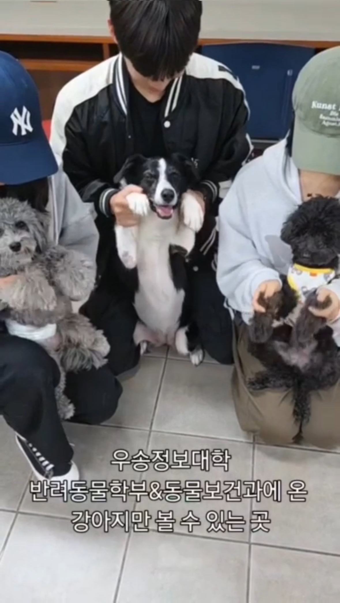 우송정보대학 동물보건과 학과 홍보 영상