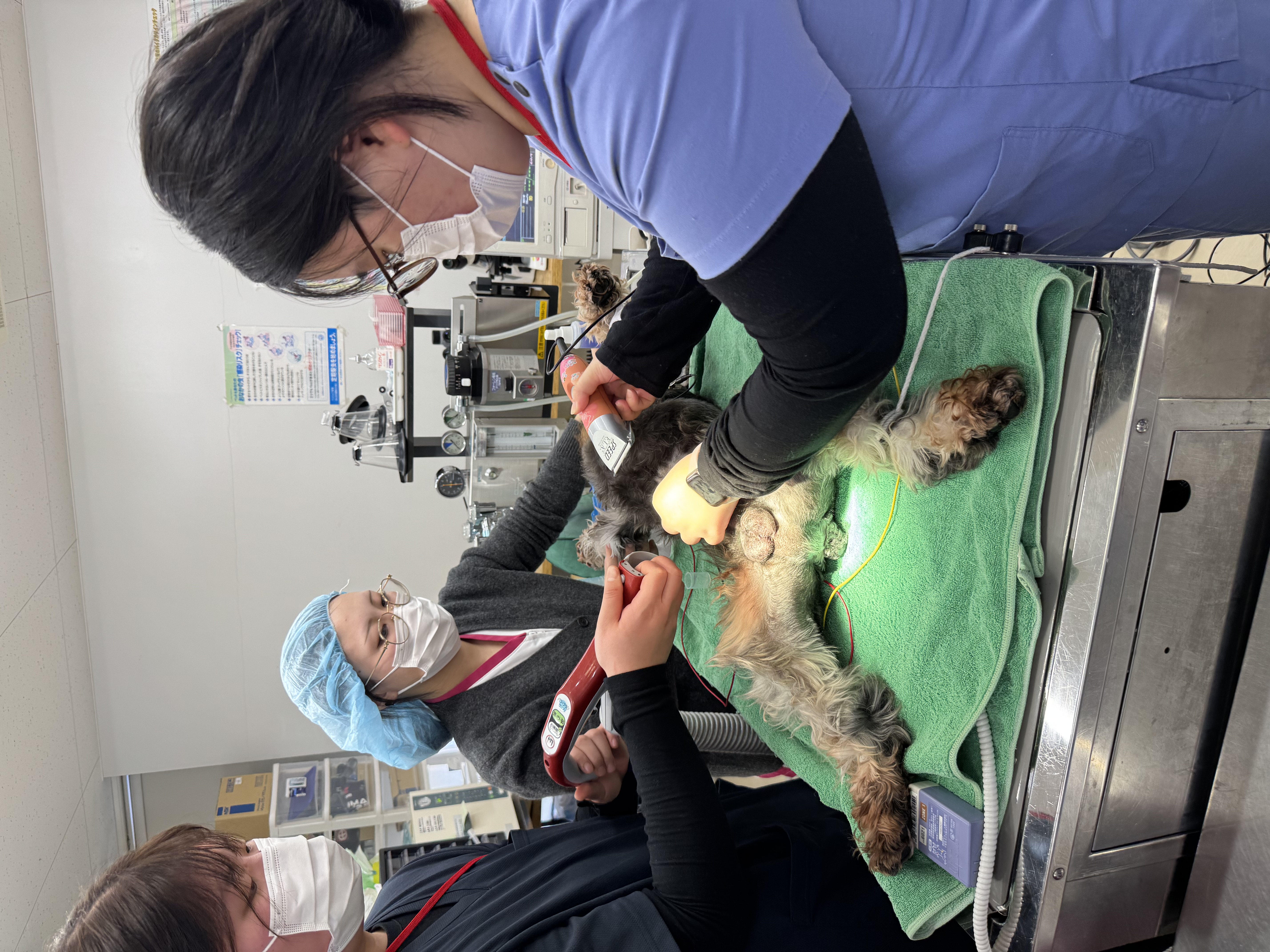 2026년도 일본연수 3주차 수업 기록