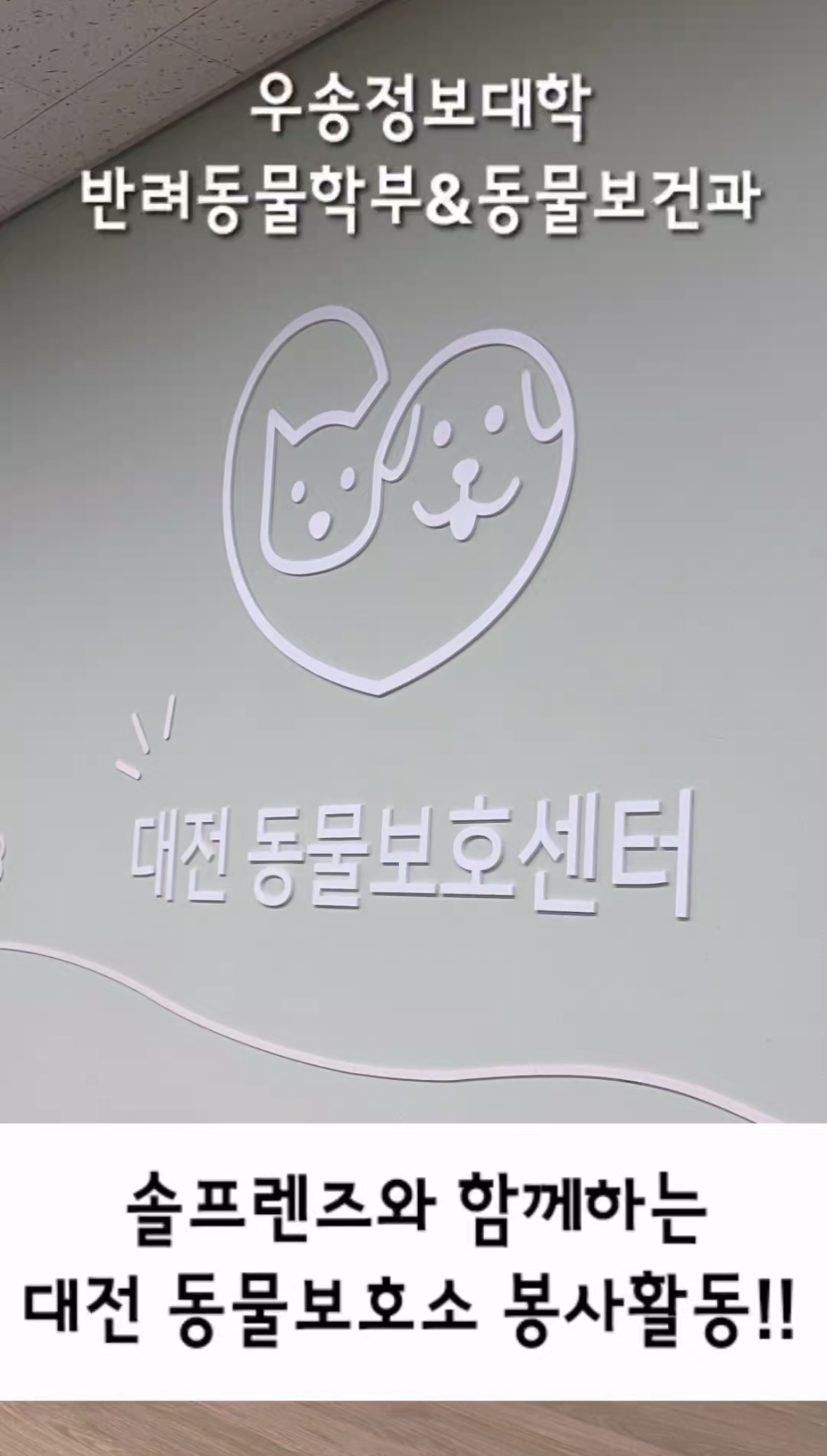 솔프렌즈 대전동물보호소 봉사활동