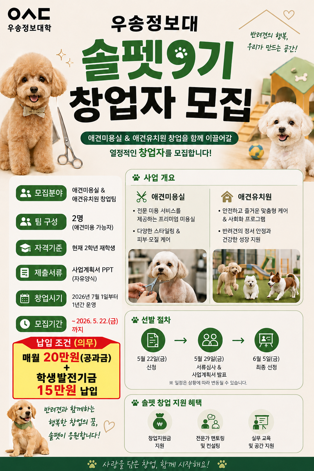 솔펫 9기 창업자 모집