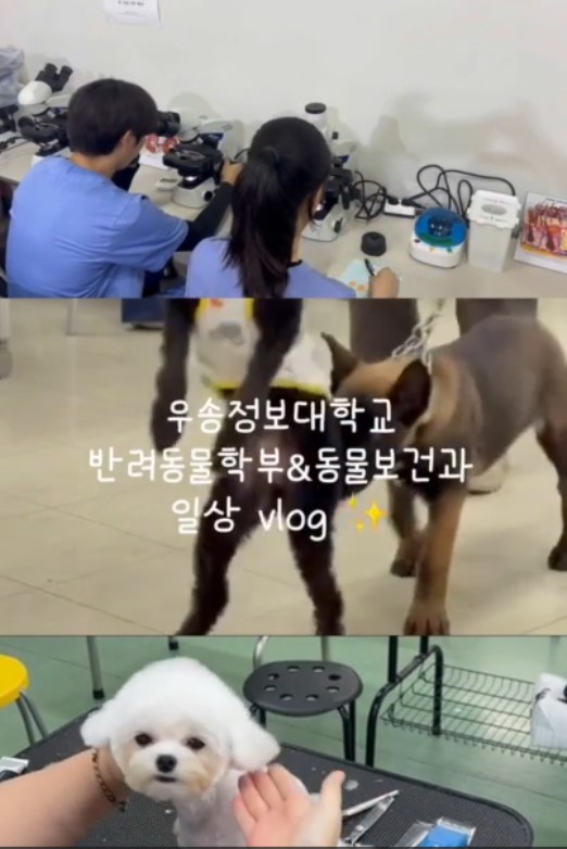 우송정보대학 동물보건과 일상 VLOG