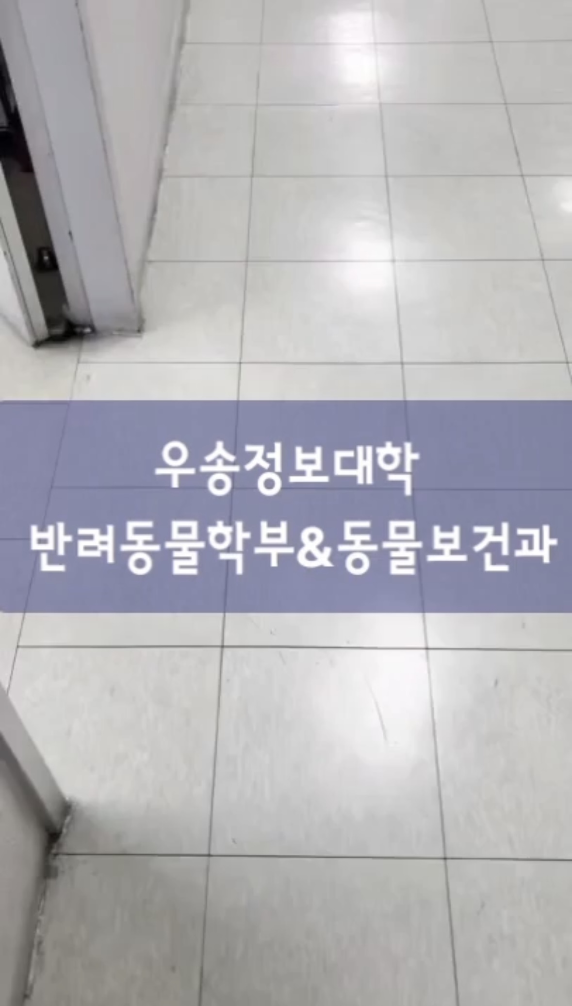동물보건과 등록 잊지말고 내년에 만나요!