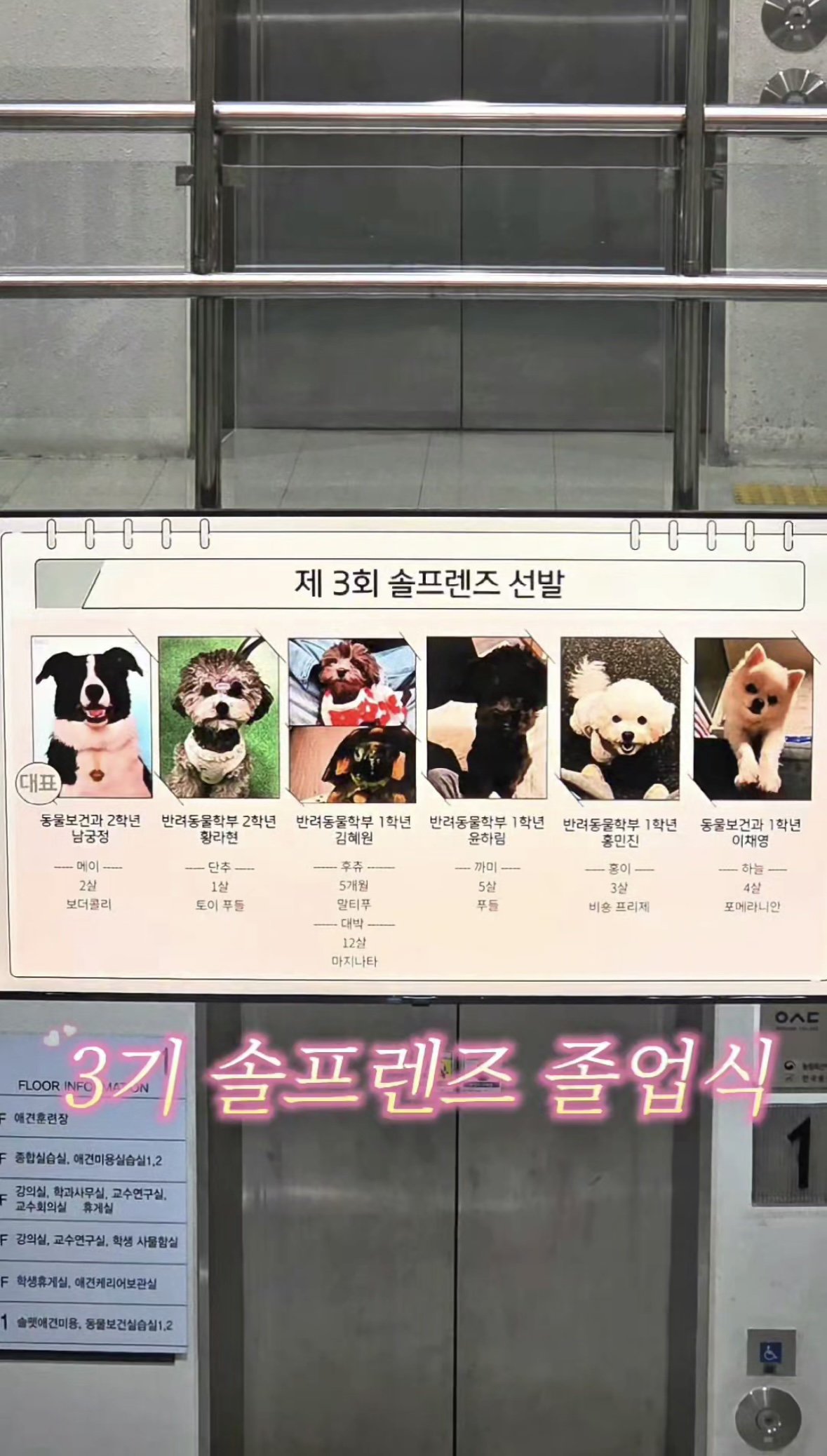 제 3회 솔프렌즈 졸업식