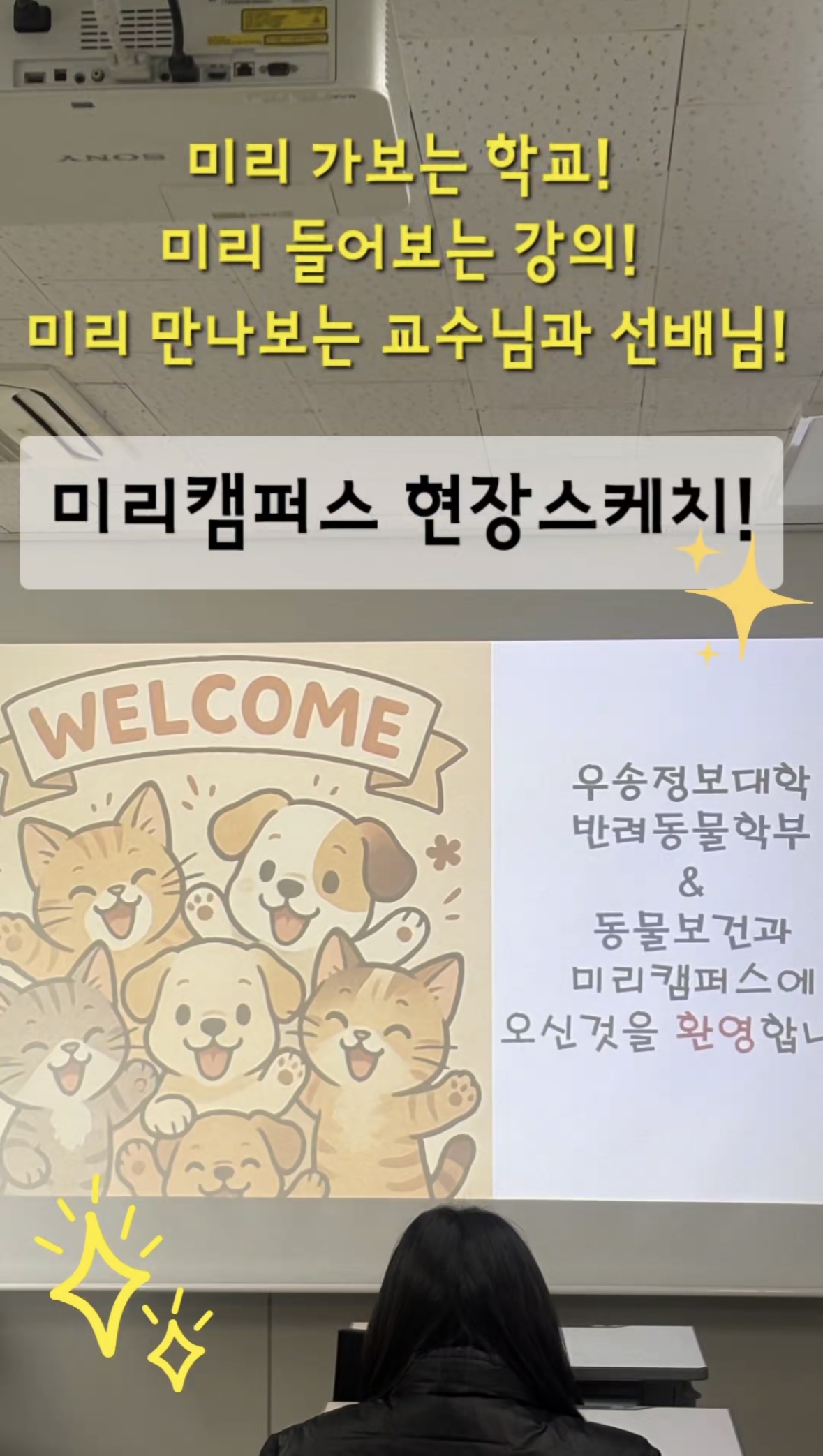 동물보건과 미리캠퍼스 현장 스케치