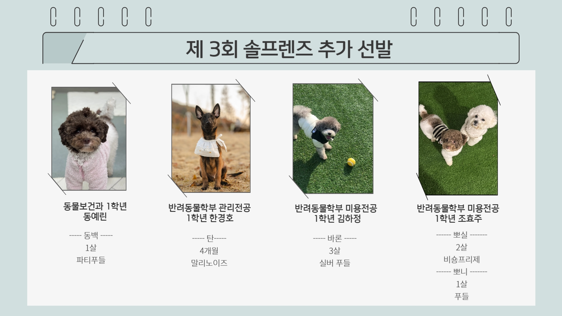 제 3회 솔프렌즈 추가선발