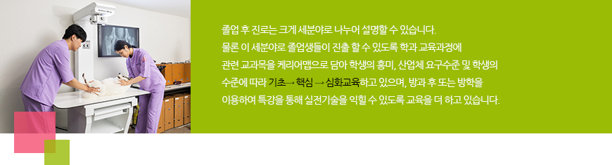 졸업 후 진로는 크게 세분야로 나누어 설명할 수 있습니다. 물론 이 세분야로 졸업생들이 진출 할 수 있도록 학과교육과정에 관련 교과목을 케리어맵으로 담아 학생의 흥미, 산업체 요구 수준 및 학생의 수준에 따라 기초-핵심-심화교육 하고 있으며, 방과 후 또는 방학을 이용하여 특강을 통해 실전기술을 익힐 수 있도록 교육을 더 하고 있습니다.