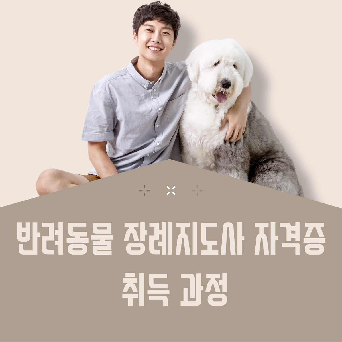 반려동물 장례지도사 자격증 취득과정